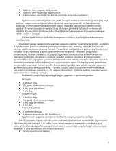 Biudžetinės įmonės 7 puslapis