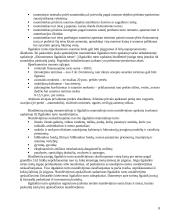 Biudžetinės įmonės 8 puslapis