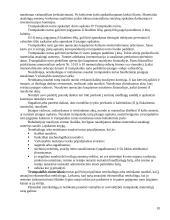 Biudžetinės įmonės 10 puslapis