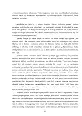 Būsimųjų socialinių pedagogų profesijos pasirinkimo motyvacijos pokyčiai 12 puslapis