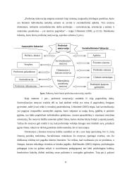 Būsimųjų socialinių pedagogų profesijos pasirinkimo motyvacijos pokyčiai 9 puslapis