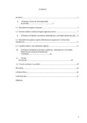 Etnokultūrinio ugdymo aspektai bendrojo lavinimo mokyklos dailės pamokose 2 puslapis