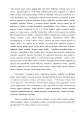 Etnokultūrinio ugdymo aspektai bendrojo lavinimo mokyklos dailės pamokose 12 puslapis