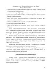 Etnokultūrinio ugdymo aspektai bendrojo lavinimo mokyklos dailės pamokose 13 puslapis