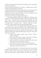 Etnokultūrinio ugdymo aspektai bendrojo lavinimo mokyklos dailės pamokose 14 puslapis