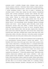 Etnokultūrinio ugdymo aspektai bendrojo lavinimo mokyklos dailės pamokose 17 puslapis