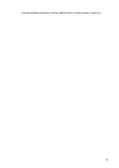 Etnokultūrinio ugdymo aspektai bendrojo lavinimo mokyklos dailės pamokose 19 puslapis