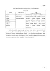 Etnokultūrinio ugdymo aspektai bendrojo lavinimo mokyklos dailės pamokose 20 puslapis