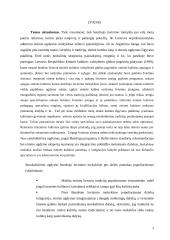 Etnokultūrinio ugdymo aspektai bendrojo lavinimo mokyklos dailės pamokose 3 puslapis