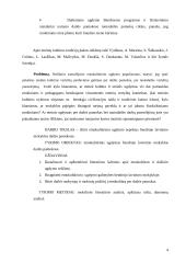 Etnokultūrinio ugdymo aspektai bendrojo lavinimo mokyklos dailės pamokose 4 puslapis