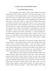 Etnokultūrinio ugdymo aspektai bendrojo lavinimo mokyklos dailės pamokose 5 puslapis