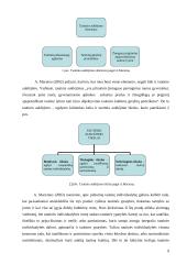 Etnokultūrinio ugdymo aspektai bendrojo lavinimo mokyklos dailės pamokose 9 puslapis