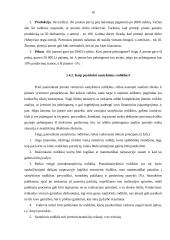 Įmonės finansinių rodiklių analizė: UAB "Pušelė" 13 puslapis