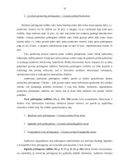 Įmonės finansinių rodiklių analizė: UAB "Pušelė" 16 puslapis