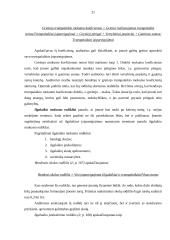 Įmonės finansinių rodiklių analizė: UAB "Pušelė" 18 puslapis