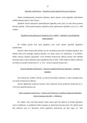 Įmonės finansinių rodiklių analizė: UAB "Pušelė" 19 puslapis