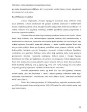 Kaimo plėtros galimybės: Kelmės rajonas 12 puslapis