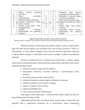 Kaimo plėtros galimybės: Kelmės rajonas 9 puslapis