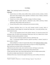 Marketingo komplekso tobulinimas: AB "Lietuvos telekomas" 13 puslapis