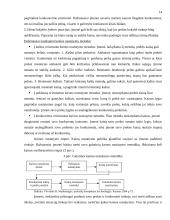 Marketingo komplekso tobulinimas: AB "Lietuvos telekomas" 14 puslapis