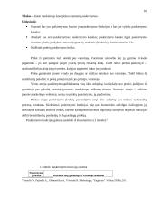 Marketingo komplekso tobulinimas: AB "Lietuvos telekomas" 16 puslapis