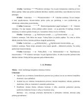 Marketingo komplekso tobulinimas: AB "Lietuvos telekomas" 19 puslapis