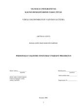 Personalo valdymo ypatumai vykdant projektus 2 puslapis