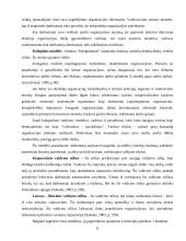 Personalo valdymo ypatumai vykdant projektus 11 puslapis
