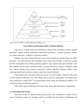 Personalo valdymo ypatumai vykdant projektus 13 puslapis