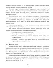 Personalo valdymo ypatumai vykdant projektus 14 puslapis