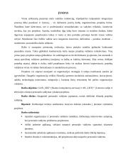 Personalo valdymo ypatumai vykdant projektus 5 puslapis