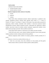 Personalo valdymo ypatumai vykdant projektus 6 puslapis