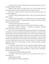 Personalo valdymo ypatumai vykdant projektus 8 puslapis