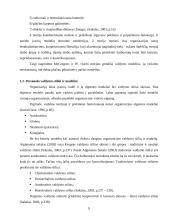 Personalo valdymo ypatumai vykdant projektus 9 puslapis