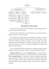 Prekybinės veiklos analizė: telekomunikacinė įranga UAB "Elpa ir partneriai" 15 puslapis