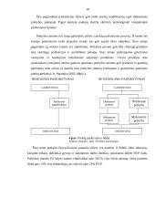 Prekybinės veiklos analizė: telekomunikacinė įranga UAB "Elpa ir partneriai" 18 puslapis