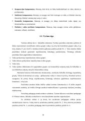 Socialinių pedagogų bendradarbiavimas su rizikos šeimomis, mažinant vaikų nusikalstamumą 18 puslapis