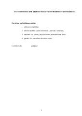 Socialinių pedagogų bendradarbiavimas su rizikos šeimomis, mažinant vaikų nusikalstamumą 3 puslapis