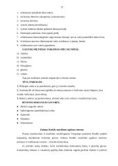 Šiuolaikinė populiarioji muzika pradinių klasių mokinių ugdyme 12 puslapis