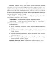 Šiuolaikinė populiarioji muzika pradinių klasių mokinių ugdyme 3 puslapis