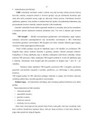 Transporto grandinių logistinio aprūpinimo plėtojimas 17 puslapis