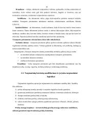 Transporto grandinių logistinio aprūpinimo plėtojimas 18 puslapis