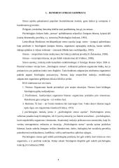 Vadovų ir pavaldinių psichosocialinis stresas 4 puslapis