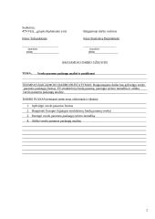 Verslo paramos paslaugų analizė ir pasiūlymai 2 puslapis