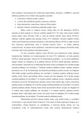 Verslo paramos paslaugų analizė ir pasiūlymai 11 puslapis