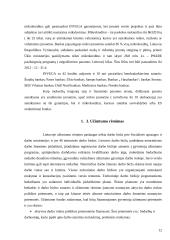 Verslo paramos paslaugų analizė ir pasiūlymai 12 puslapis