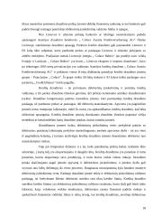 Verslo paramos paslaugų analizė ir pasiūlymai 18 puslapis