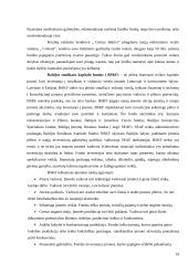 Verslo paramos paslaugų analizė ir pasiūlymai 19 puslapis