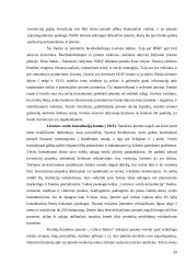 Verslo paramos paslaugų analizė ir pasiūlymai 20 puslapis