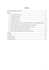 Verslo paramos paslaugų analizė ir pasiūlymai 3 puslapis